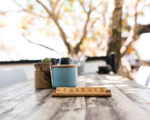 perfect-beachside-coffee-cat-7